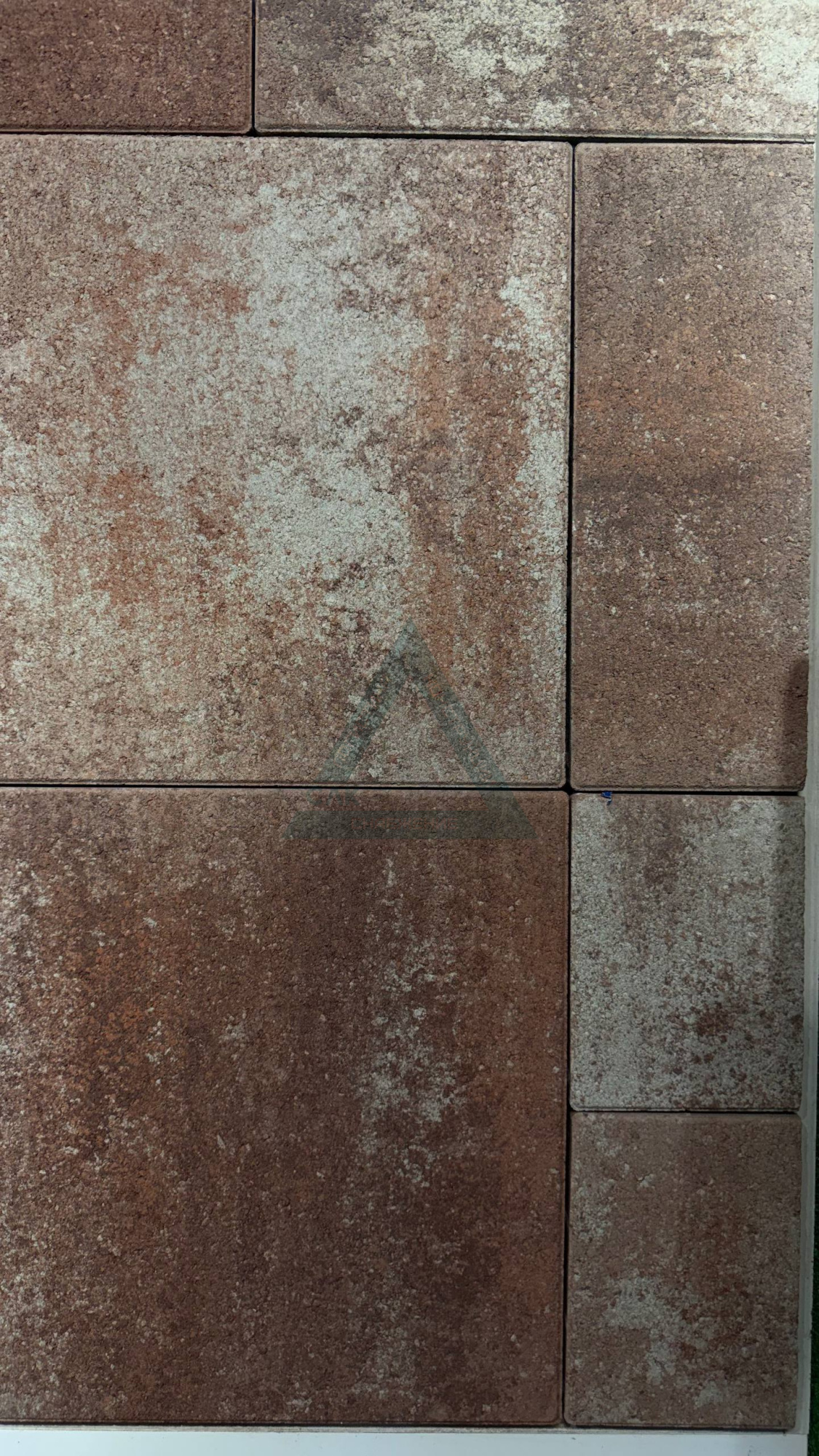 Терра Б.9 Фсм.6. 